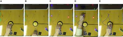 Transcranial Direct Current Stimulation of the Dorsolateral Prefrontal Cortex Modulates Cognitive Function Related to Motor Execution During Sequential Task: A Randomized Control Study
